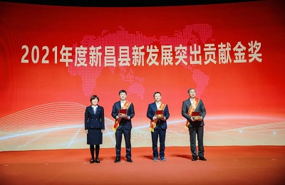 yl34511线路中心集团荣膺新昌县2021年度新发展突出贡献金奖